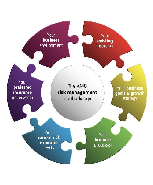 ANIB Risk management methodology graph with different factors